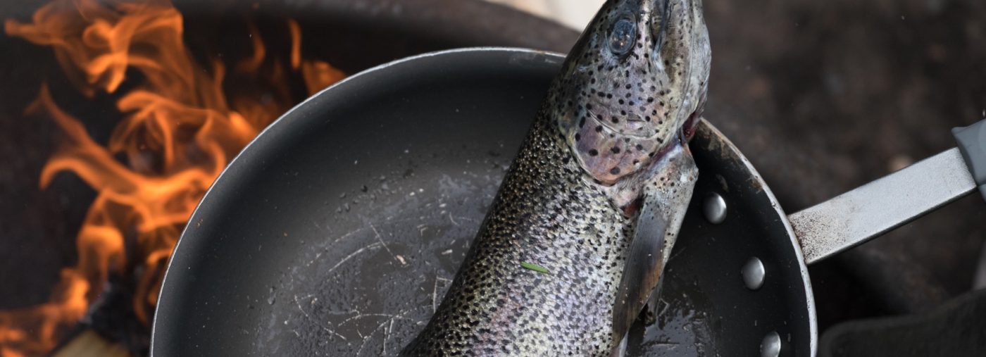 An Insight to Salmon Fishing On The Kenai River